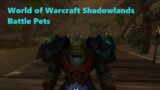 2021 03 22 21 57 43 World of Warcraft Shadowlands Battle Pets Defeat Outland Quest Boss