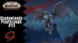 Echelon is a jerk | World of Warcraft: Shadowlands Playthrough #23