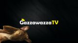GazzawazzaTV – Torghast & Chill – World of Warcraft Shadowlands