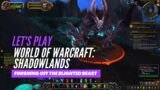 Let's Play World of Warcraft: Shadowlands (Finishing off the Blighted Beast)