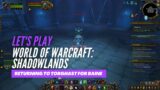 Let's Play World of Warcraft: Shadowlands (Returning to Torghast for Baine)