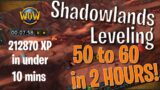 Level 50 to 60 in shadowlands in under 2 hours!