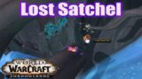 Lost Satchel – Treasures of Ardenweald – World of Warcraft Shadowlands