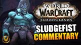 Mythic Raid Lead explains Sludgefist // World of Warcraft: Shadowlands