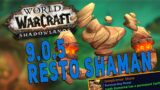 Shadowlands RESTO SHAMAN 9.0.5 | My Legendary & Covenant Choices (Raid/M+)