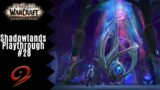 Theater Play | World of Warcraft: Shadowlands Playthrough #28