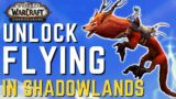 Unlock FLYING in Shadowlands | Brand New MOUNTS and How to Get Them