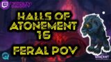 WoW Shadowlands – Frenzyband Legendary – Halls of Atonement 16 – Feral PoV