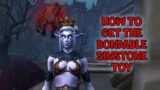 WoW Shadowlands – How To Get The Bondable Sinstone Toy | Taskmaster's Trove Treasure in Revendreth