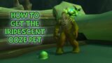 WoW Shadowlands – How To Get The Iridescent Ooze Pet | Plaguefallen Chest Treasure in Maldraxxus