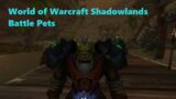 World of Warcraft Shadowlands Battle Pets Defeat Traitor Gluk