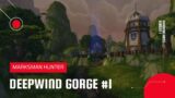 World of Warcraft: Shadowlands | Deepwind Gorge Battleground | MM Hunter #1