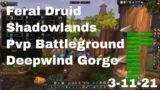 World of Warcraft Shadowlands Feral Druid Pvp Battleground, Deepwind Gorge, 3-11-21