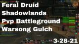 World of Warcraft Shadowlands Feral Druid Pvp Battleground, Warsong Gulch, 3-28-21