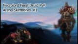 World of Warcraft Shadowlands – Necrolord Feral Druid PvP – Skirmishes