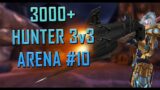 3000+ Marksmanship Hunter 3v3 Arena #10 [Shadowlands]