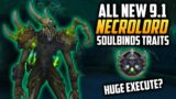 9.1 New Necrolord Covenant Soulbinds – Shadowlands Rogue Guides – World of Warcraft