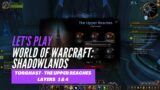 Let's Play World of Warcraft: Shadowlands (Torghast – The Upper Reaches Layers 1 & 4)