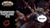Make a deal mon? | World of Warcraft: Shadowlands Playthrough #35