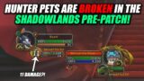 PETS ARE BROKEN IN THE SHADOWLANDS PRE-PATCH!