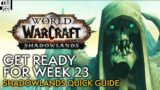 Shadowlands Week 23 – What to Expect – World of Warcraft