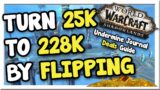 Turn 25k into 228k With Flipping! | TUJ Deals Guide | Shadowlands | WoW Gold Making Guide