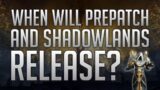 Will Shadowlands and Prepatch Be Delayed?