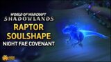 WoW: Shadowlands – Raptor Soulshape