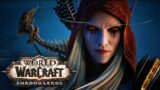 World of Warcraft Shadowlands But With Graphic 1 Setting