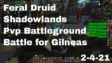 World of Warcraft Shadowlands Feral Druid Pvp Battleground, Battle for Gilneas, 2-4-21