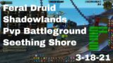 World of Warcraft Shadowlands Feral Druid Pvp Battleground, Seething Shore, 3-18-21