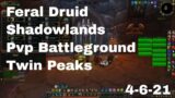 World of Warcraft Shadowlands Feral Druid Pvp Battleground, Twin Peaks, 4-6-21