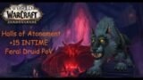 World of Warcraft Shadowlands: Halls of Atonement +15 Feral Druid POV