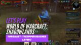 Let's Play World of Warcraft: Shadowlands (Torghast – The Upper Reaches Layer 7)