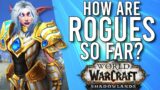 Are Rogues Looking Like A MUST HAVE For Raiding In 9.1 Shadowlands? – WoW: Shadowlands 9.1 PTR
