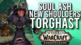 Catch Up Soul Ash For Alts And NEW Torghast Rewards In 9.1 Shadowlands! – WoW: Shadowlands 9.1 PTR