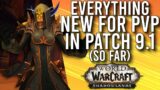 Everything NEW Update For PvP In Patch 9.1 So Far In Shadowlands! – WoW: Shadowlands 9.0.5