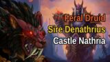 Feral Druid Sire Denathrius (Castle Nathria Raid Normal) WoW Shadowlands