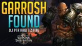 GARROSH RETURNS! | Soulrender Dormazain 9.1 Raid | Havoc PoV | Havoc Demon Hunter Shadowlands