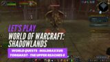 Let's Play World of Warcraft: Shadowlands (Maldraxxus world quests & Torghast – The Upper Reaches 8)
