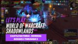 Let's Play World of Warcraft: Shadowlands (Our first Castle Nathria Raid – Normal bosses 1-3)