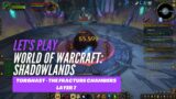 Let's Play World of Warcraft: Shadowlands (Torghast – The Fracture Chambers Layer 7)