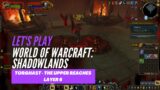 Let's Play World of Warcraft: Shadowlands (Torghast – The Upper Reaches Layer 6)