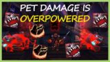 PET DAMAGE IS OVERPOWERED! | Beast Mastery Hunter PvP | WoW Shadowlands 9.0.5