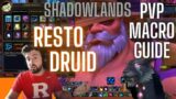 Resto Druid PvP Macros Guide WoW Shadowlands