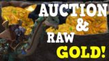 SHADOWLANDS AUCTION AND RAW GOLD GUIDE! #1