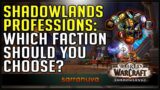 Shadowlands Factions & Professions: Which One Should You Choose?