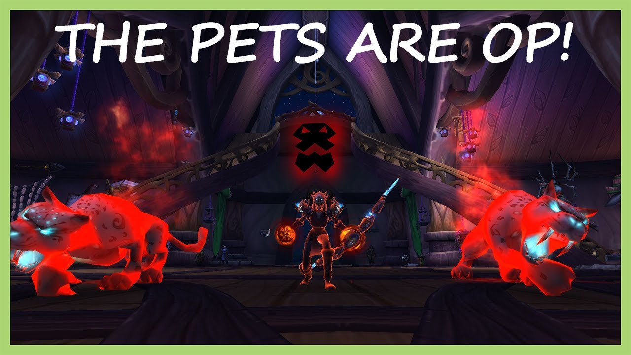 THE BM PETS ARE OP! Beast Mastery Hunter PvP WoW Shadowlands 9.0.5
