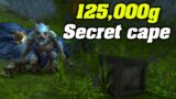 The Secret 125,000g Cloak | Shadowlands Goldmaking