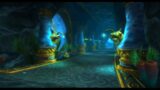 Timewalking Throne of the Tides – World of Warcraft: Shadowlands